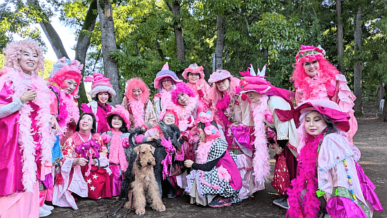 トロールの森2025パフォーマンス